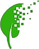 Read More Button